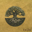 Tribe Albumcover