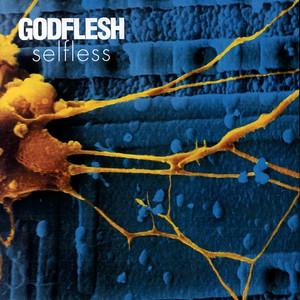 Selfless cover