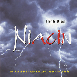 Birdland cover