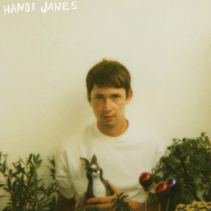 Hanoi Janes poster