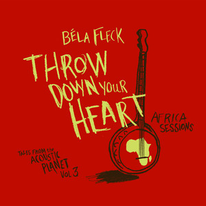 Throw Down Your Heart - Tales From The Acoustic Planet Vol. 3 Africa Sessions album