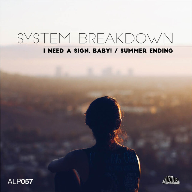 System Breakdown Photo