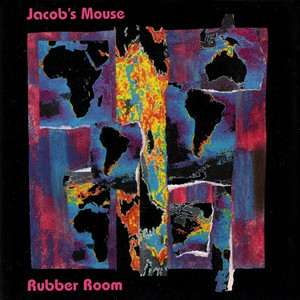 Rubber Room cover