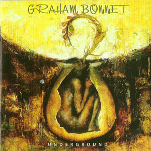 Underground cover