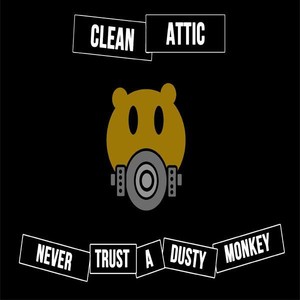 Clean Attic