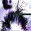 Purple Cerise Experience Albumcover
