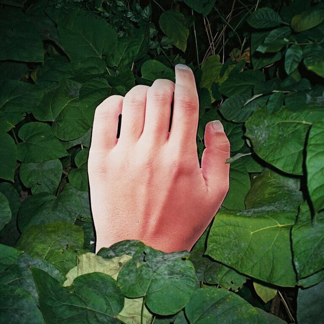 Sea Ghost Photo