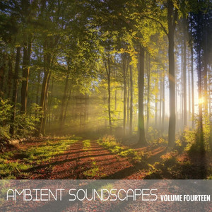 Ambient SoundScapes, Vol. 14 cover