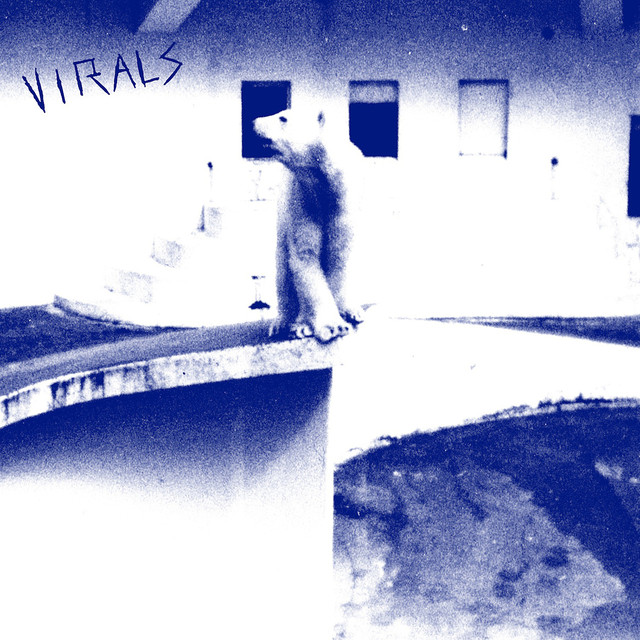 Virals Photo