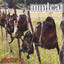 Mudcat Albumcover