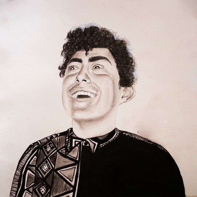 The Rise Of Hobo Johnson cover