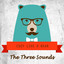 Cozy Like A Bear cover