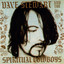 Dave Stewart And The Spiritual Cowboys cover