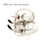 Never Better [Instrumental Version] Albumcover