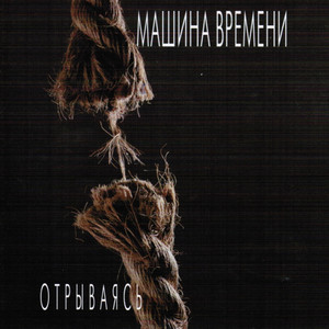 На заднем дворе cover