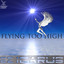 Flying Too High EP Albumcover