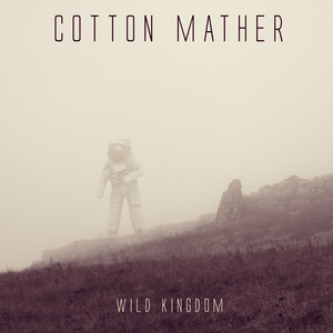 Wild Kingdom album