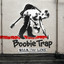 Walk the Line Albumcover