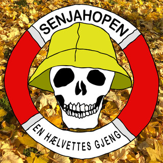 Senjahopen Photo