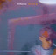 Disco cover