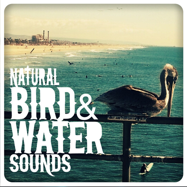 Natural Bird & Water Sounds Albumcover