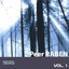 Peer Raben - The Great Composer Of Film Music - Vol. 1 Albumcover