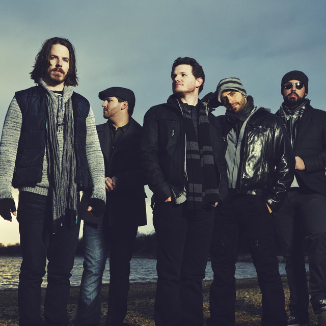 Manic Bloom photo