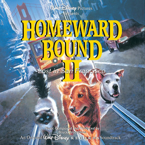 Homeward Bound 2 album