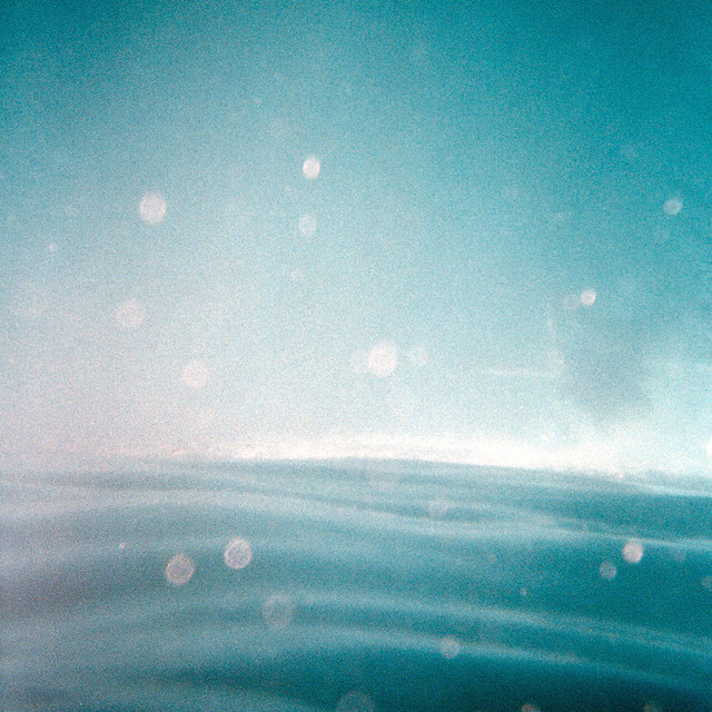 Triko Photo