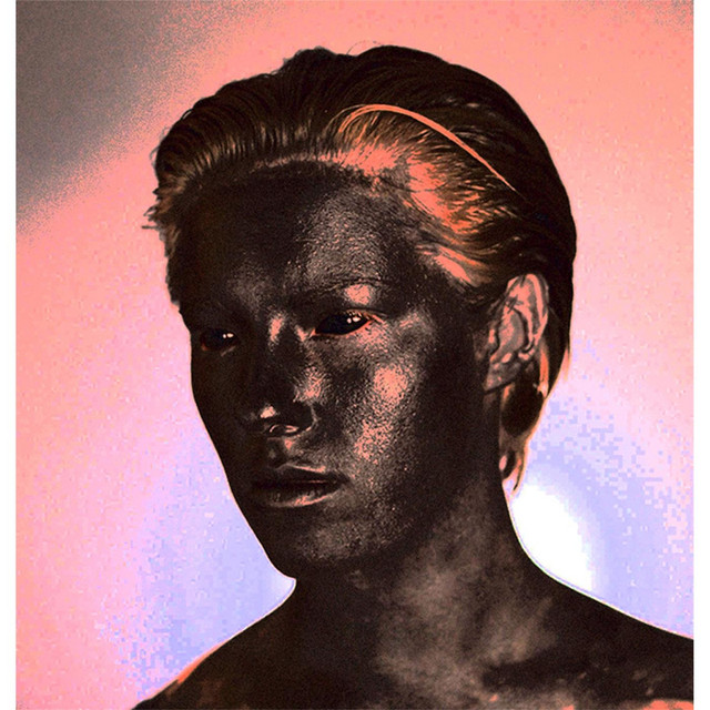 The Thin Bloods Photo