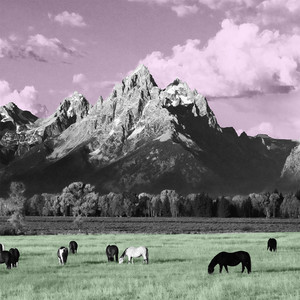 Yellowstone cover
