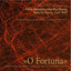 O Fortuna cover
