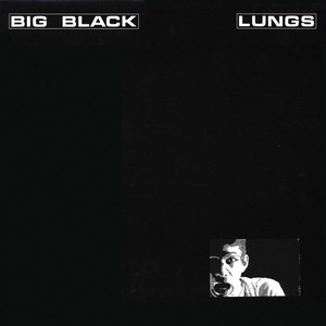 Lungs cover