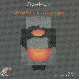 Warm Sound in a Gray Field cover