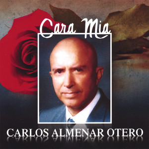 Carlos Almenar Otero
