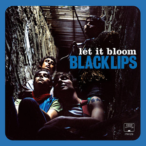 Let It Bloom album