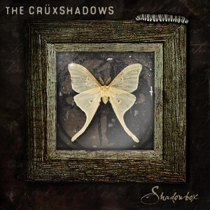 Shadowbox EP cover