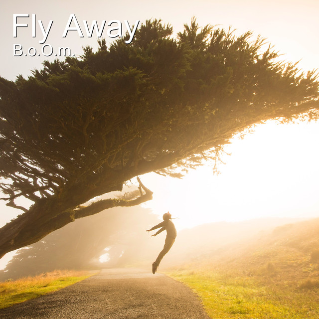 Musik Album 'Fly Away'