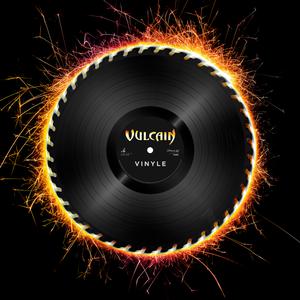 Vinyle cover