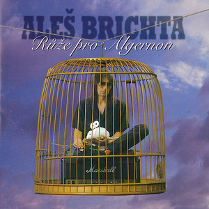 Růže pro Algernon cover