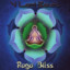 Raga Bliss Albumcover