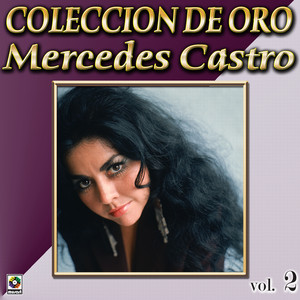 Mercedes Castro Coleccion De Oro, Vol. 2 - Vengo A Verte album