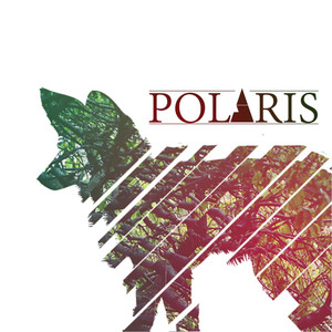 Polaris cover