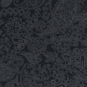 Salmataxia cover