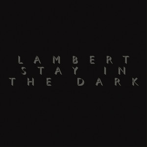Stay in the Dark album