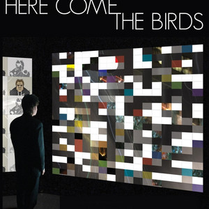 Here Come The Birds Photo
