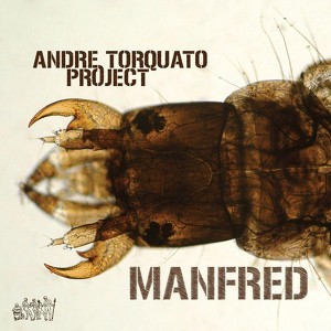 Andre Torquato Project