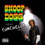 Snoop Doggy Dogg Ft. Warren G - Ain't No Fun