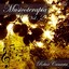 Musicoterapia, Vol. 2 (Relax Canaria) Albumcover