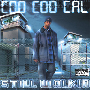 Still Walkin album